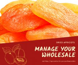 DRIED APRICOTS_social