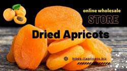 JPEG_DriedApricots